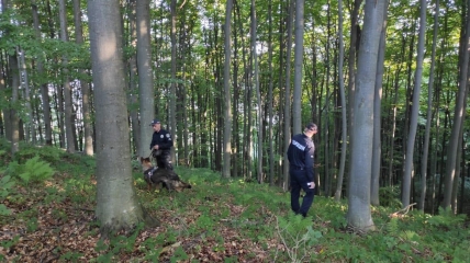 Полиция прочесывает лес в поисках детей
