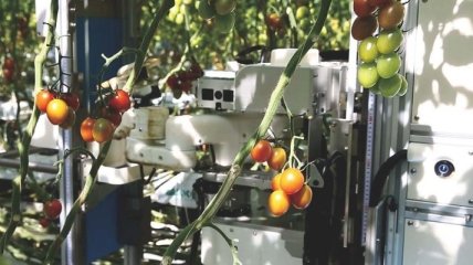Компания Panasonic научила роботов работать на ферме (Видео) 