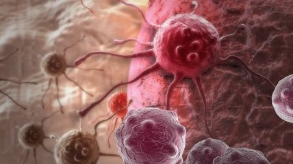 Ученые: ВИЧ поможет победить рак