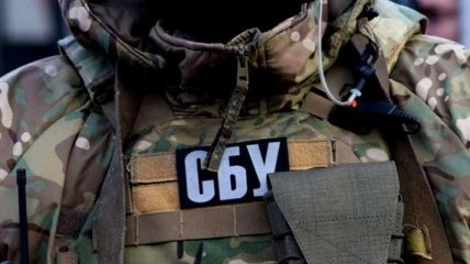 В Донецкой области задержан один из организаторов псевдовыборов