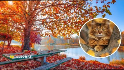 Погода восени