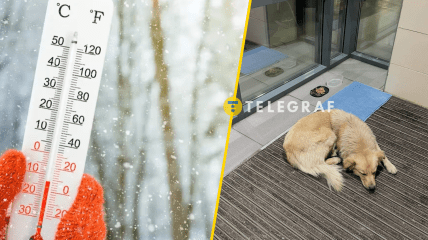 Жужа из Днепра