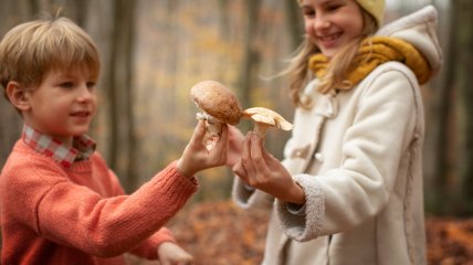 Грибники відзначають свято щороку 3 жовтня