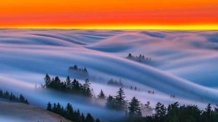 Нереально красивые фотографии волн тумана (Фото)