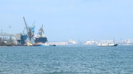 Выброс 300 л масла в Черное море нанес непосильный урон экологии