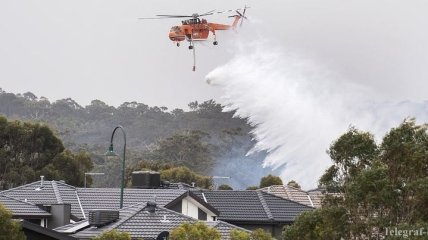 Пожары в Австралии: людей планируют вывозить через море