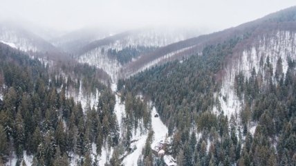 В Карпатах из-за тумана заблудились сразу пять лыжников