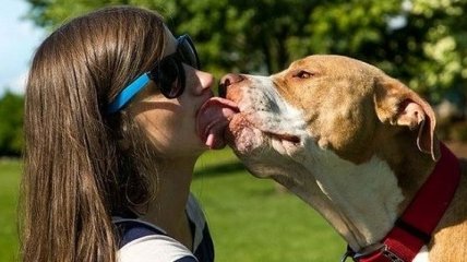 "Друзья человека": собаки способствуют продлению жизни своих хозяев