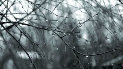 Погода в Украине на 28 декабря: преимущественно дождь с мокрым снегом