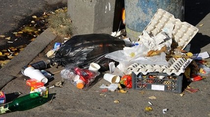Киевские чиновники хотят увеличить штраф за выброс мусора мимо урны