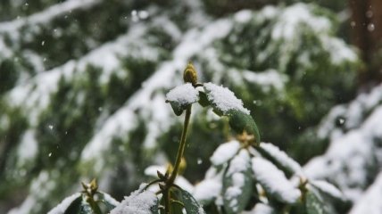 Морозы перед потеплением: синоптик озвучила прогноз погоды в Украине на 19 февраля