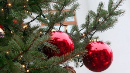 Праздничная атмосфера отменяется? Какой будет погода в Украине на Новый год