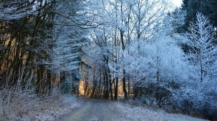Прогноз погоды на зиму