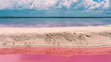 Мечта любого романтика: природная розовая лагуна у берегов Мексики (Фото)