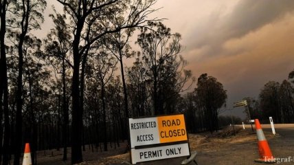 Масштабные пожары: в Австралии выделят 50 млн долларов на восстановление дикой природы
