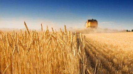 Украина сократила экспорт агропродукции в ЕС