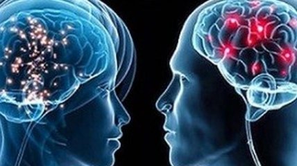 Обнаружены новые различия в мозге женщины и мужчины 