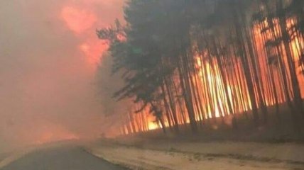 Пожары на Луганщине: затронуто около 5 тыс. га земли