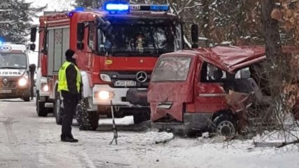 В Польше автобус с украинцами влетел в дерево: известно о пяти пострадавших (фото)