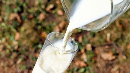 Факты о молоке, которые вы могли не знать