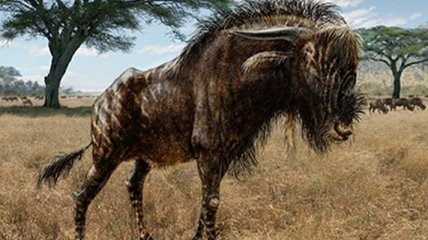 У древней антилопы обнаружили нос динозавра