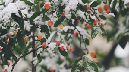 Ударят сильные морозы: синоптики рассказали, какой погоды ожидать 2 декабря
