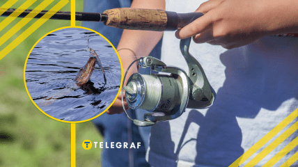 В Винницкой области рыбак поймал большую щуку