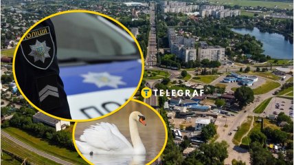 Червонокнижного птаха врятували в центрі України