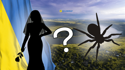 Каракурты в Украине