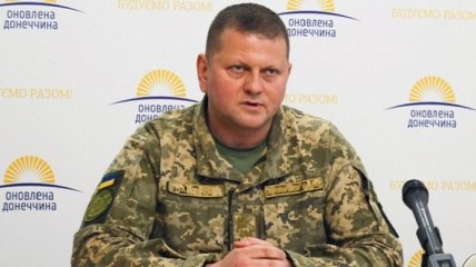 Новым главкомом ВСУ назначен Валерий Залужный: биография генерал-майора