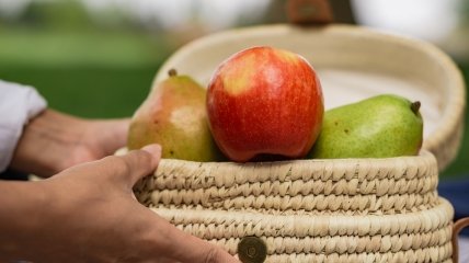 Які дерева не варто садити біля яблунь та груш