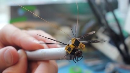 Американские ученые создали управляемую стрекозу-киборга