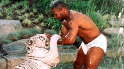 Майк Тайсон вспомнил, как его тигр откусил руку женщине