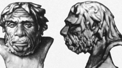 Неандертальцев погубили большие глаза