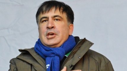 Саакашвили прокомментировал информацию о наличии голландской визы