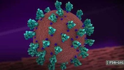 Как мыло разрушает вирусы: познавательное видео молекулярного уровня