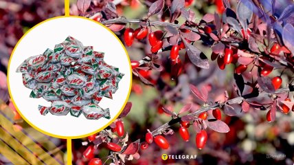 Ілюстративне фото