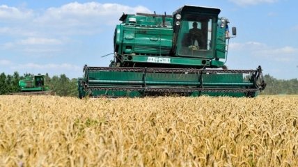 Украина с начала года намолотила почти 40 миллионов тонн зерна