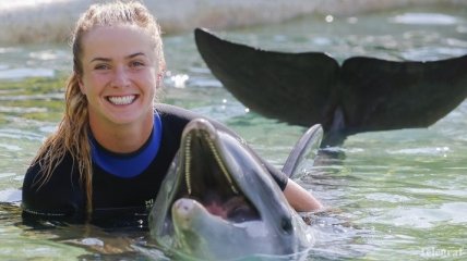 Дельфин помогает Свитолине побеждать в Майами