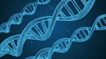 Эксперты впервые вырастили организм с полностью измененным ДНК