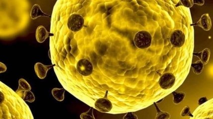 Китай выделил $144 млн на борьбу со смертельным коронавирусом