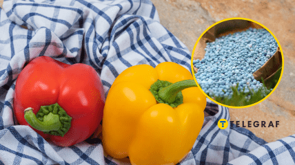 Азотные удобрения могут превратить перец в отраву