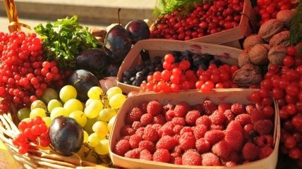 В Крыму собрали большой урожай плодов и ягод