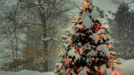 Погода повернула к зиме: украинцам обещают снег и мороз