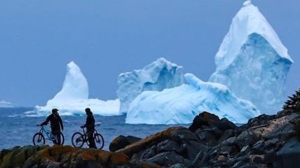 К побережью Канады приплыл гигантский айсберг 