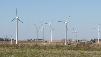 Ветряные турбины опасны для летучих мышей