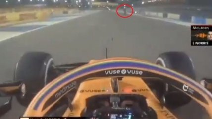 "Глупец или храбрец": гонщика Формулы-1 смутил перебегающий трассу человек (видео)