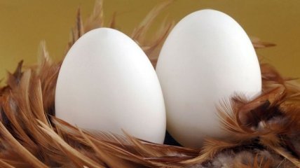 Белок, содержащийся в яйцах, очень полезен для организма