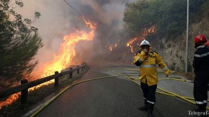Жара и пожары: Европа потерпает от природных катаклизмов (Фото)