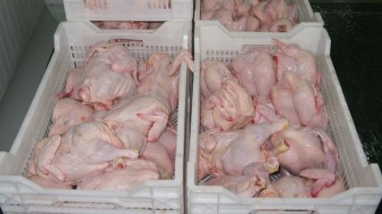 Первые 60 тонн украинской курятины отправились в ЕС